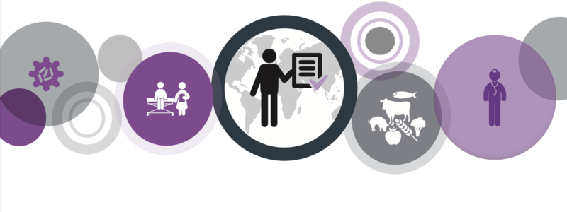 Strengthening surveillance of and response to foodborne diseases
