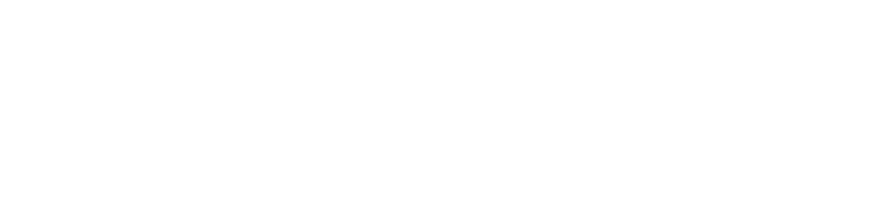 Ecolint Connect logo